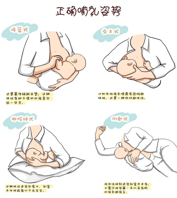 母乳喂養(yǎng)大全